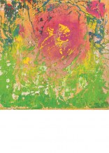 blüte im gras 2017
